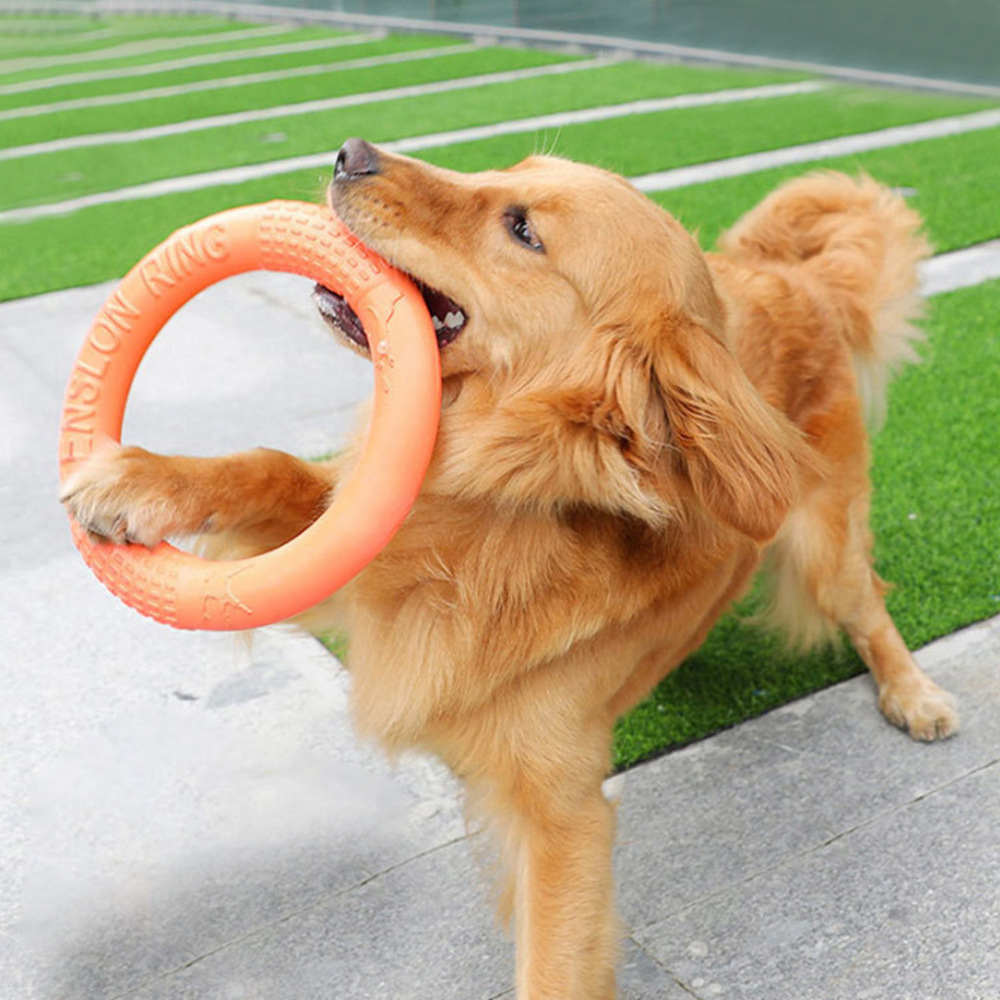 Indestructible Dog Chew Toy - 반려동물 플라잉 디스크 훈련 링 풀러,