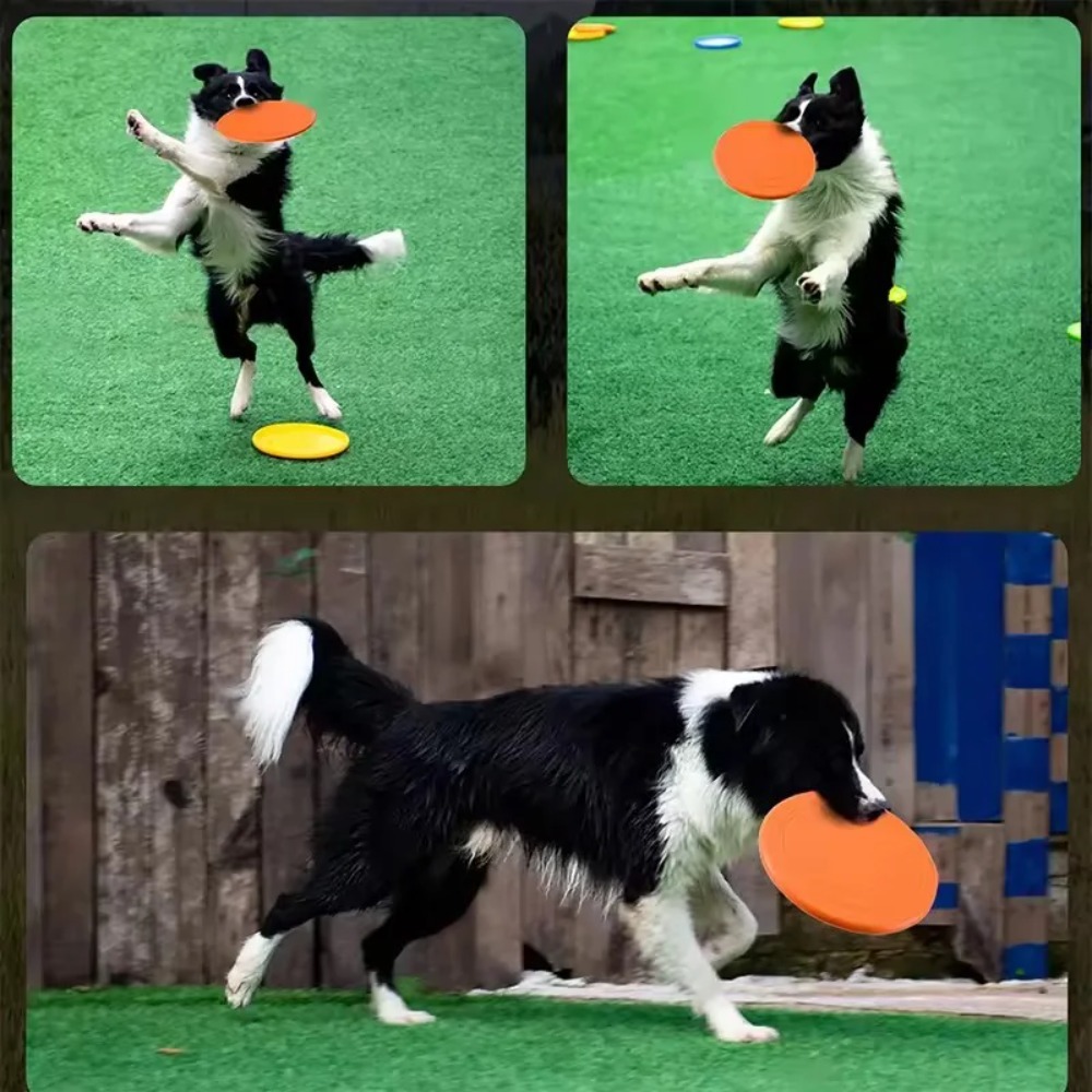 Flying Disc Dog Training Toy - 강아지 플라잉 디스크 TPR 애완동물 장난감