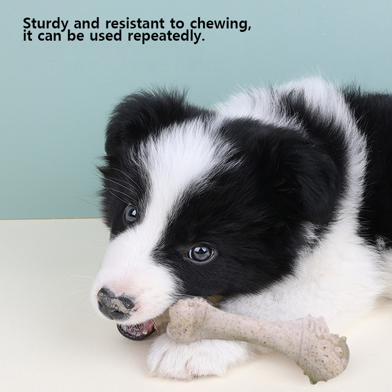 Teeth Cleaning Dog Chew Bone - 12cm 애완동물 장난감, 강아지용 치아 관리용