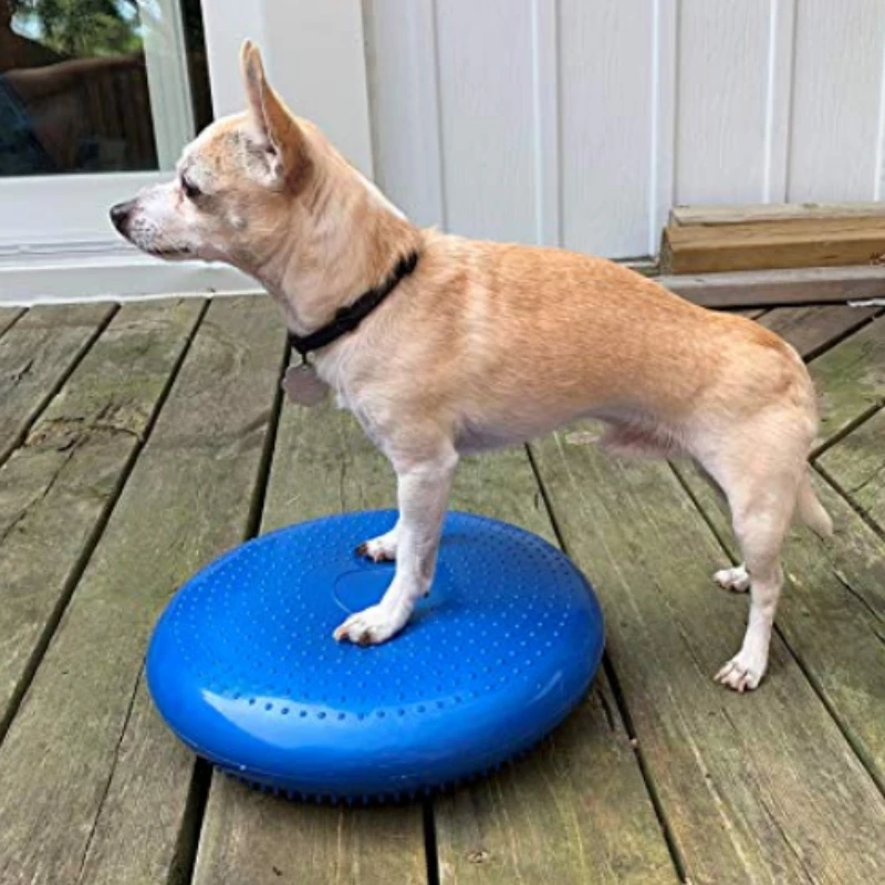 Flying Disc Dog Training Toy - 밸런스 비행 쏘서 피트니스 스포츠 개