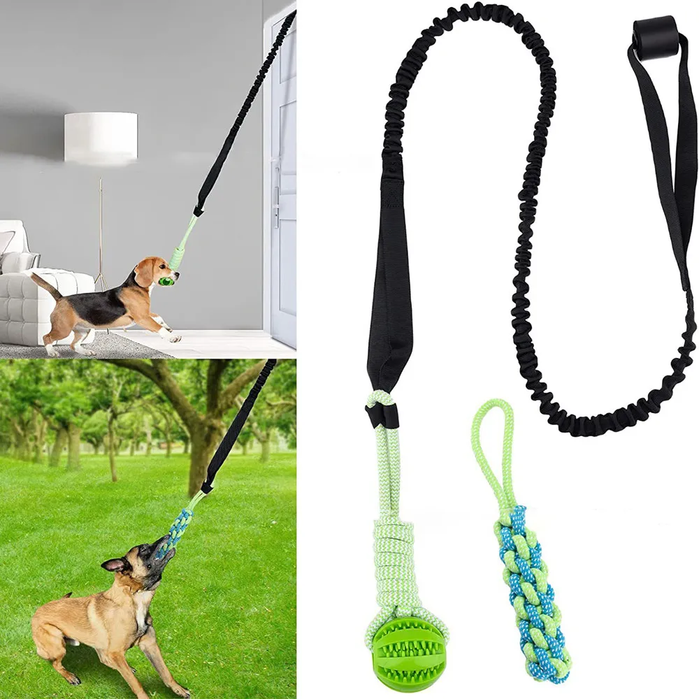 Suction Cup Dog Tug Toy - 대화 형 개 장난감 줄다리기 봄