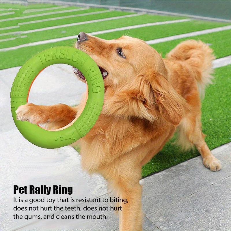 강아지용 훈련 장난감, 야외 스포츠, 플라잉 디스크,  - Flying Disc Dog Training Toy 리뷰 및 가격