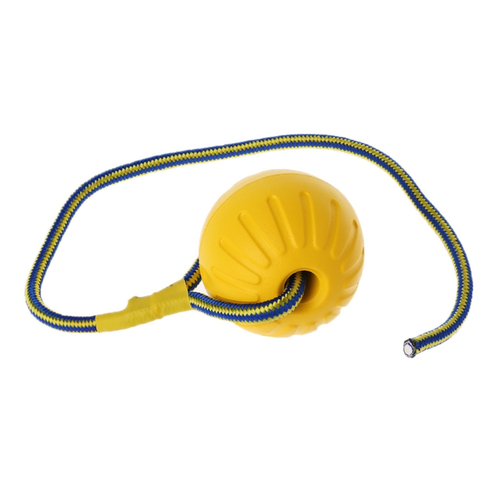 밧줄과 개 장난감 공 야외 강아지 대화 형 훈련 장난감 - Suction Cup Dog Tug Toy 리뷰 및 가격