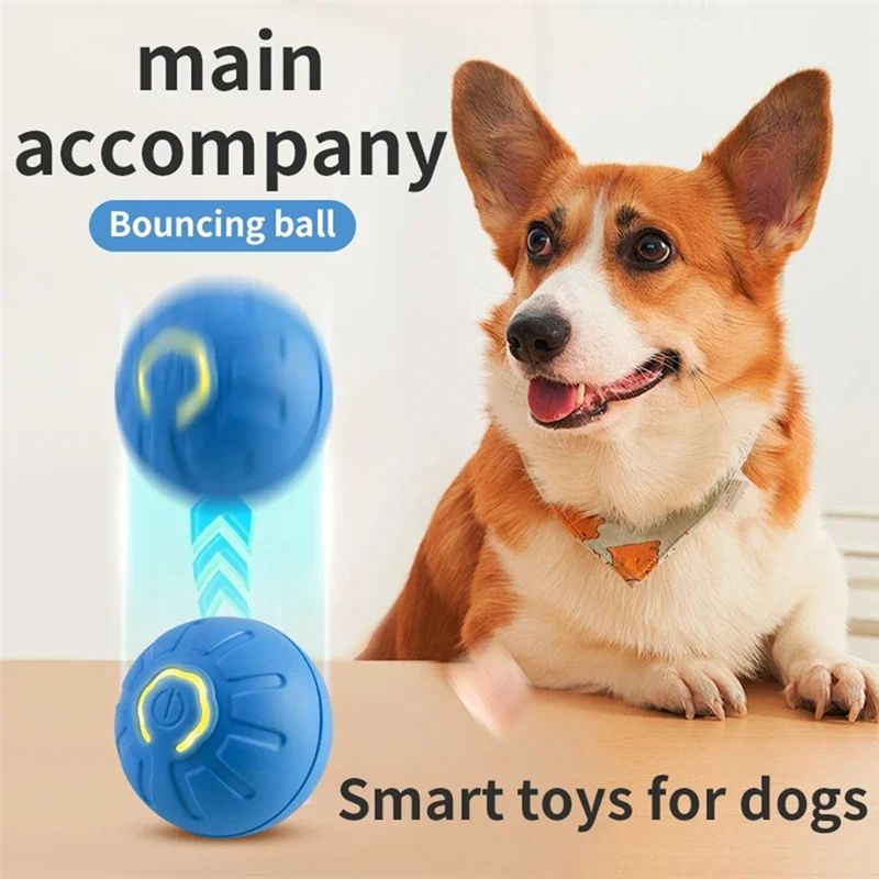 AT84-2PCS 스마트 개 공 전자 인터랙티브 애완  - Automatic Moving Dog Ball 리뷰 및 가격