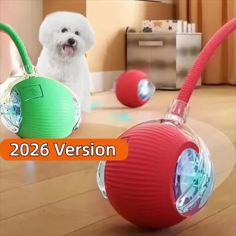 새로운 강아지 인터랙티브 볼 장난감 자동 롤링 볼 충전 - Automatic Moving Dog Ball 리뷰 및 가격