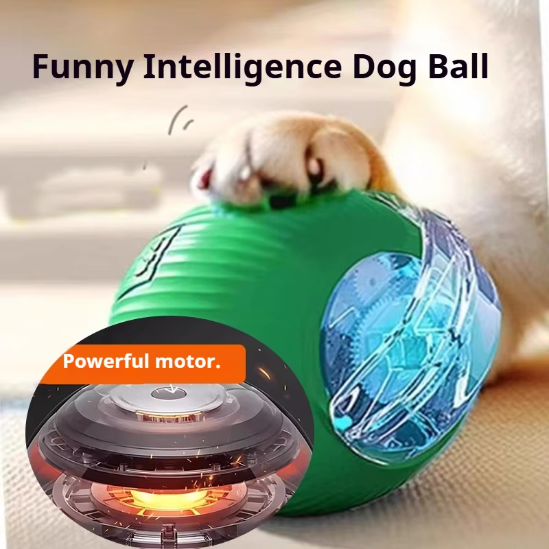새로운 강아지 인터랙티브 볼 장난감 자동 롤링 볼 충전 - Automatic Moving Dog Ball 리뷰 및 가격