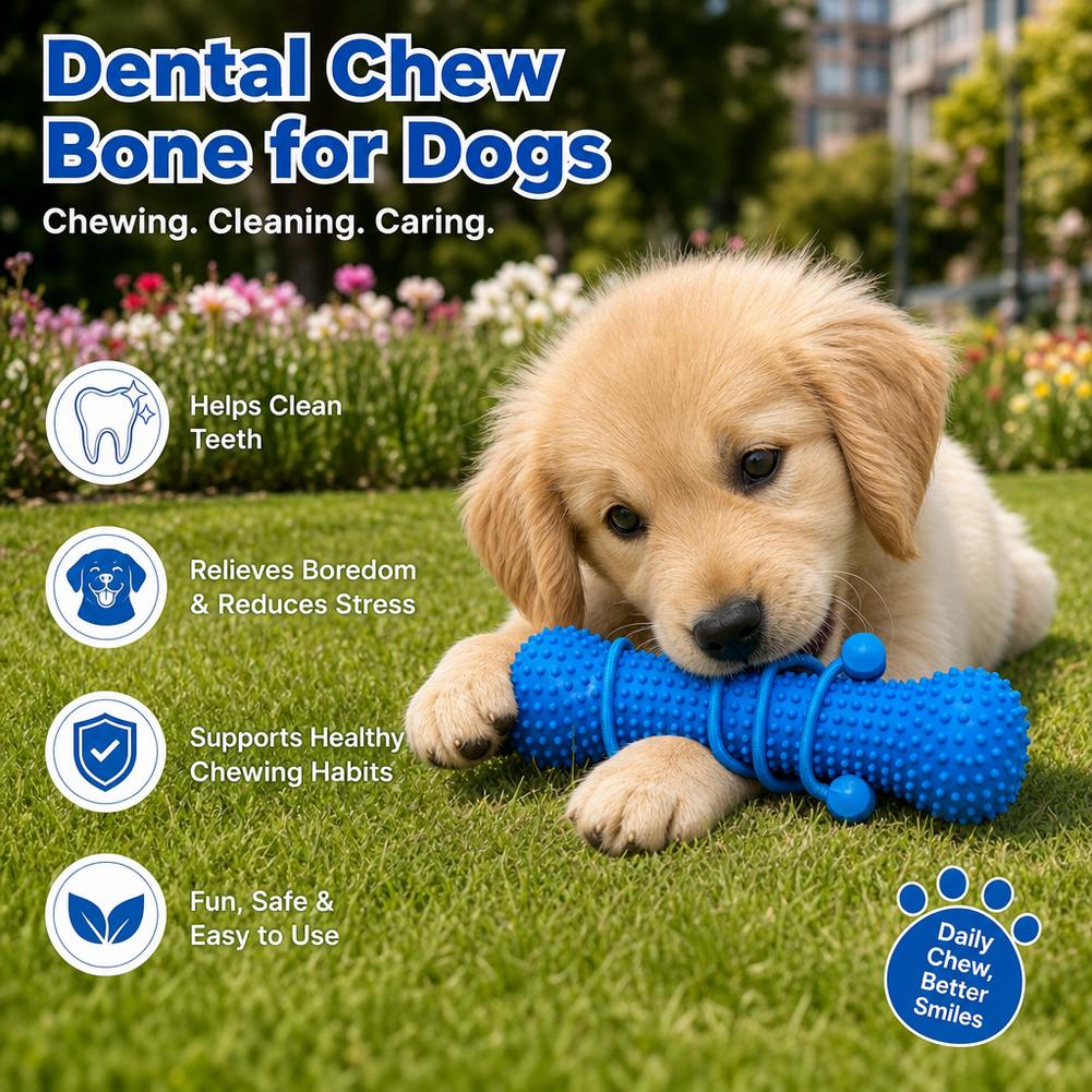 강아지 치아 청소용 씹는 장난감 내구성 있는 재사용 가 - Teeth Cleaning Dog Chew Bone 리뷰 및 가격