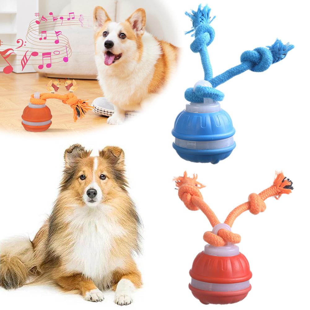 스마트 충전식 강아지 공, 동작 감지 자동 이동 삑삑이 - Automatic Moving Dog Ball 리뷰 및 가격