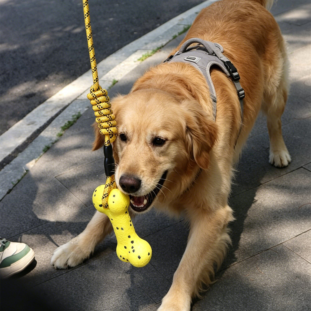 튼튼한 강아지 줄놀이 장난감, ETPU 소재로 제작되어 - Dog Rope Toy Aggressive Chewers 리뷰 및 가격