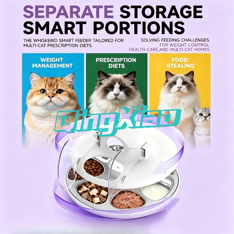 AI 스마트 고양이 급식기, 얼굴 인식 기능 탑재, 여 - Pet Feeders 리뷰 및 가격