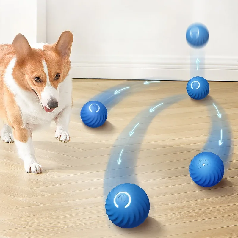 SS 애완동물용 장난감 공, 자동으로 움직이는 강아지  - Automatic Moving Dog Ball 리뷰 및 가격