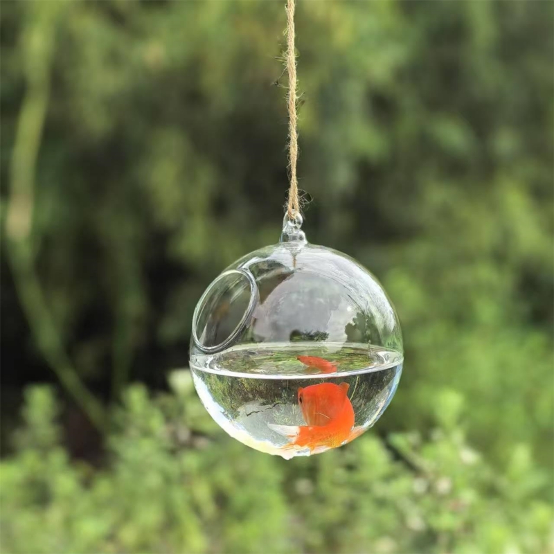 작은 포장 직경=10cm 12cm 15cm 20cm 투 - Aquarium 리뷰 및 가격