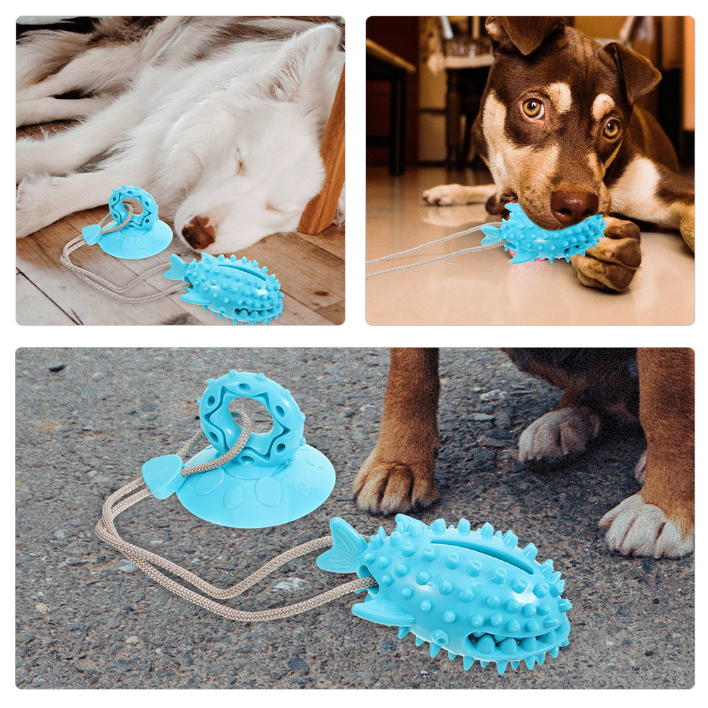 강아지용 흡착식 장난감 2개 세트: 상호작용 놀이, 씹 - Suction Cup Dog Tug Toy 리뷰 및 가격