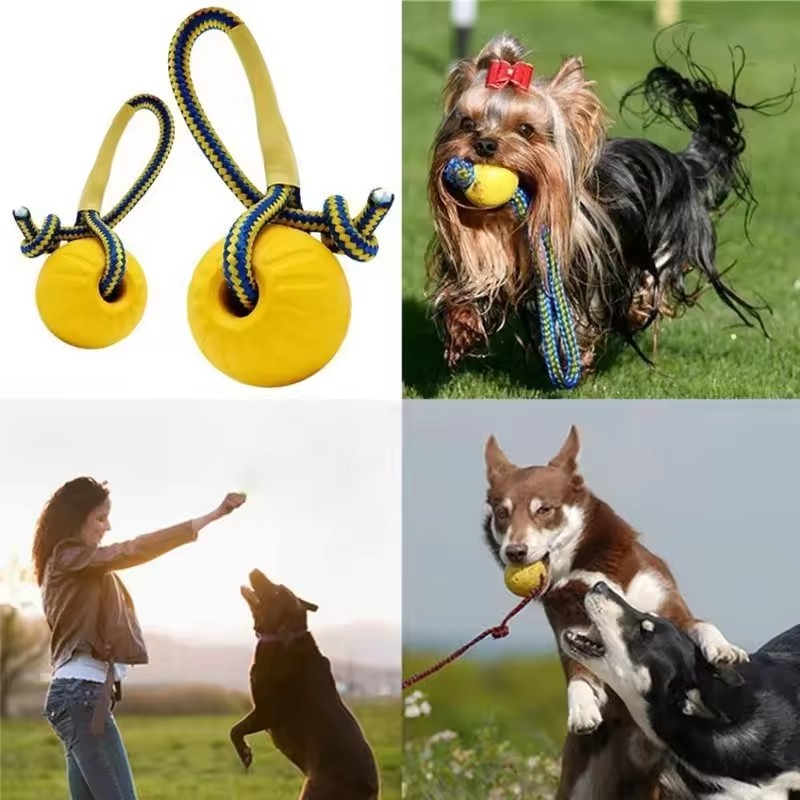 1개입 강아지용 깨지지 않는 고무 씹는 장난감, 재미있 - Indestructible Dog Chew Toy 리뷰 및 가격
