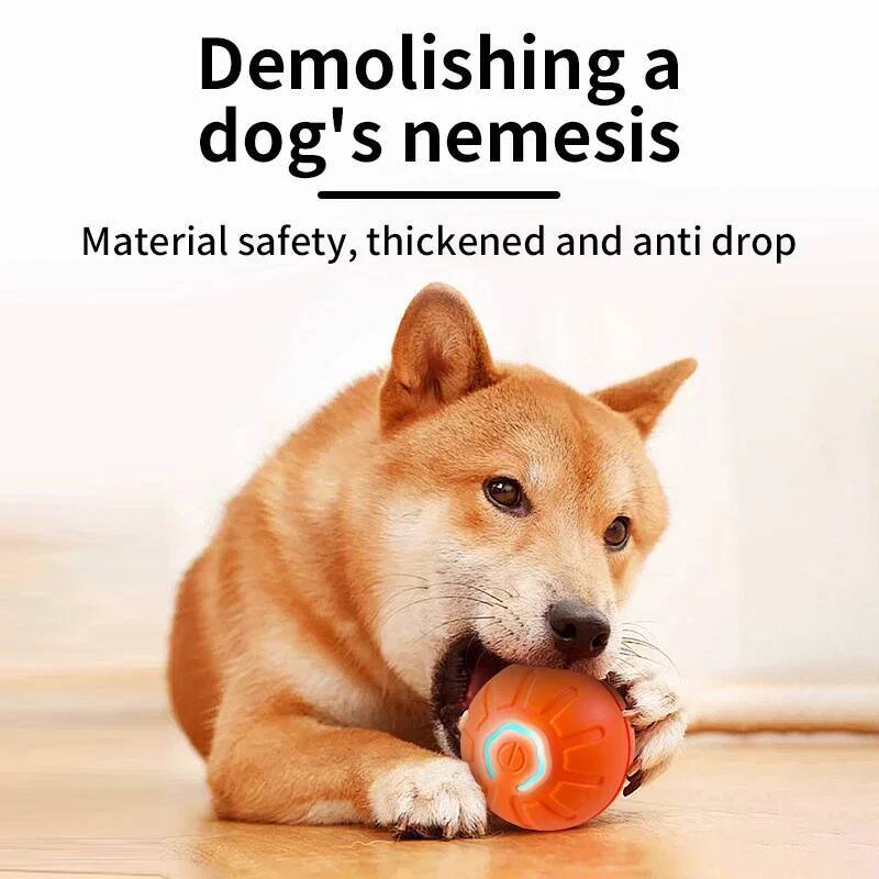 스마트 강아지 장난감 공 전자식 인터랙티브 애완동물 장 - Automatic Moving Dog Ball 리뷰 및 가격