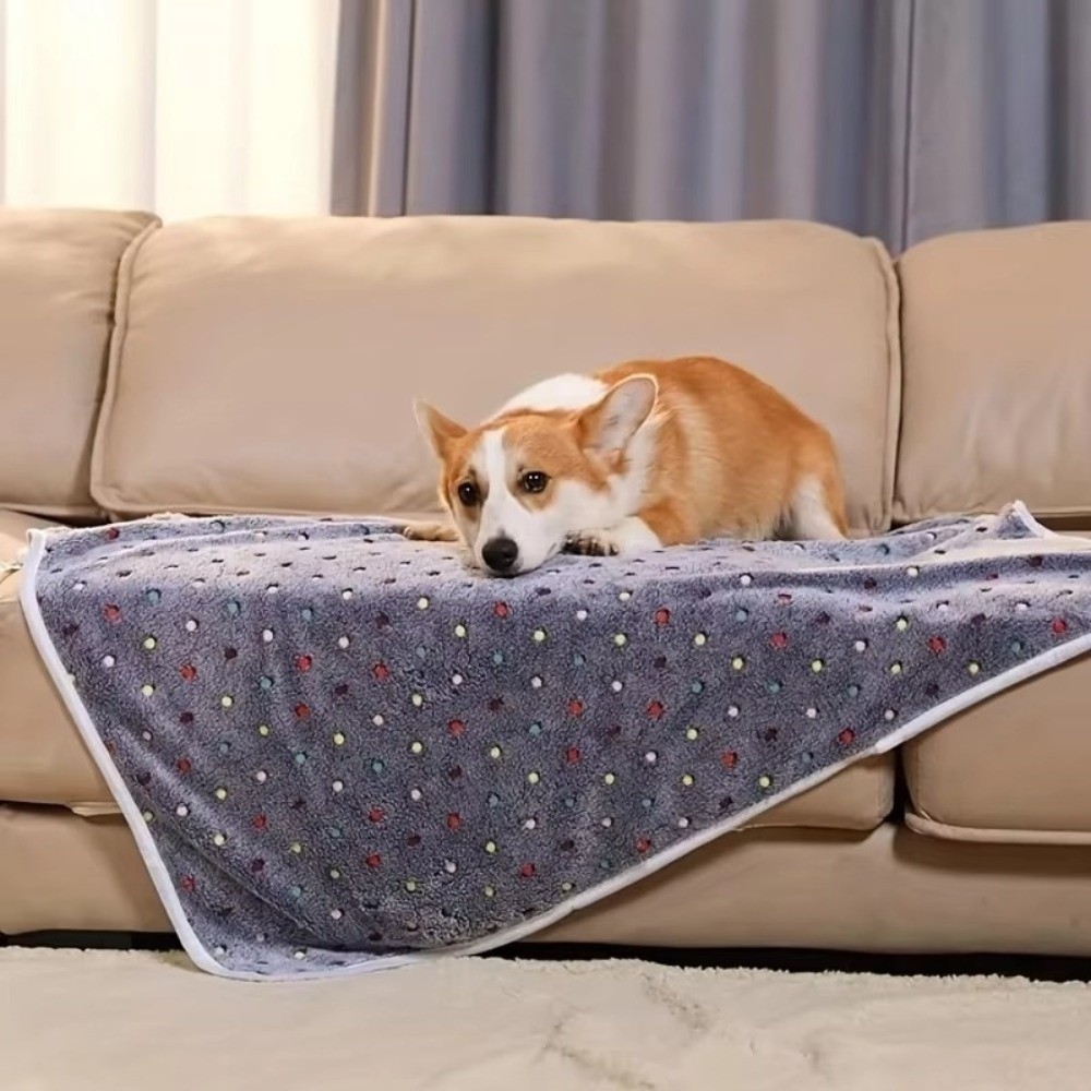 초극세사 애완동물 침대 담요 귀여운 도트 무늬 통기성  - Pet Beds 리뷰 및 가격