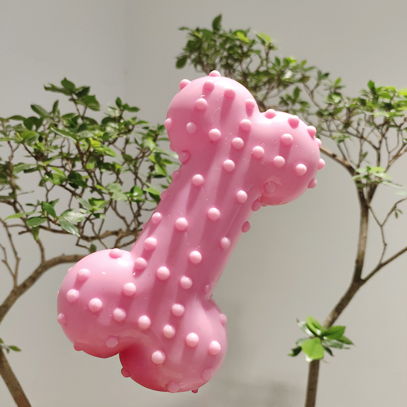 강아지 장난감 고무 소리 나는 씹는 뼈 치아 청소 내구 - Teeth Cleaning Dog Chew Bone 리뷰 및 가격