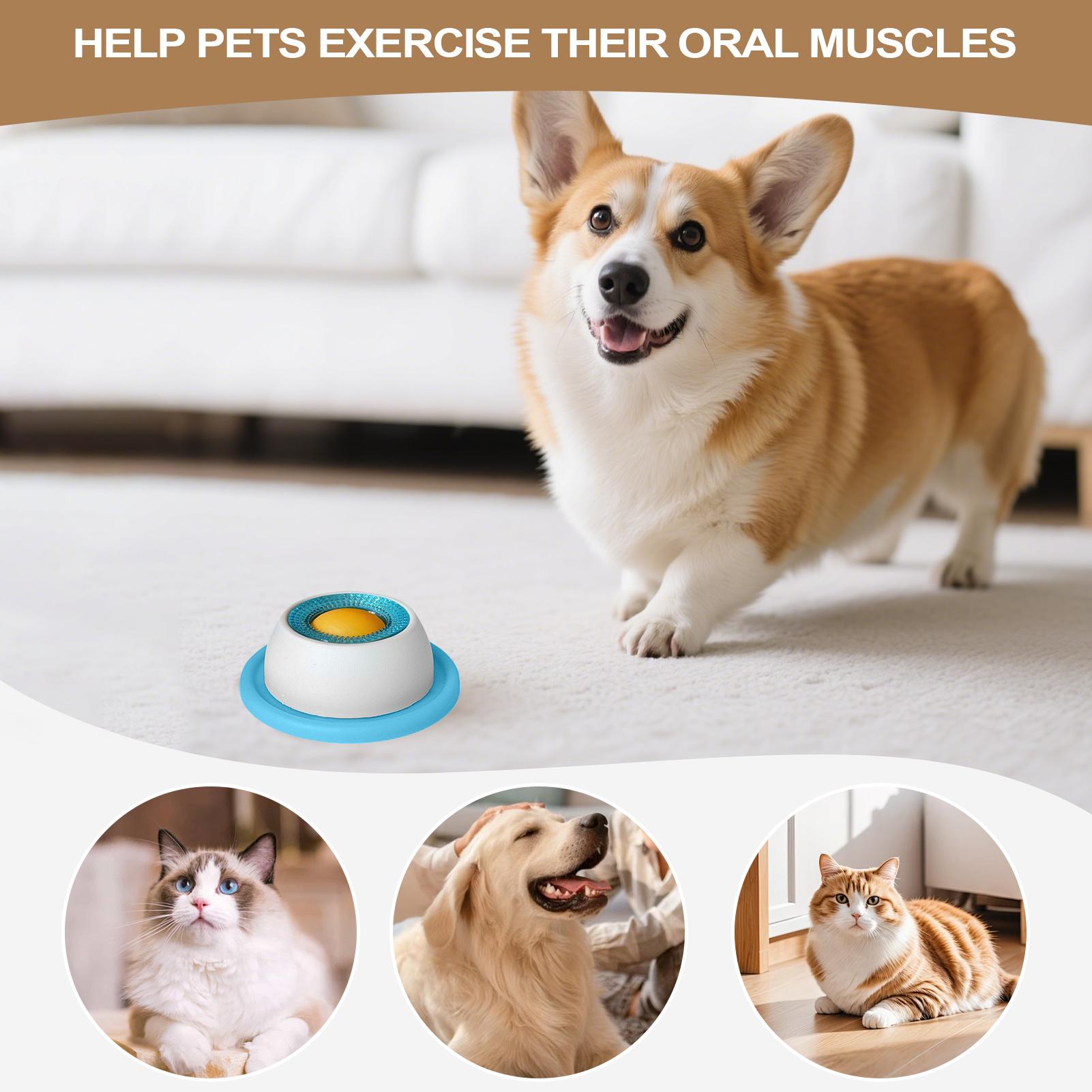 강아지 간식 장난감 애완동물 급식 용품 지루한 강아지를 - Dog Puzzle Feeder Toy 리뷰 및 가격